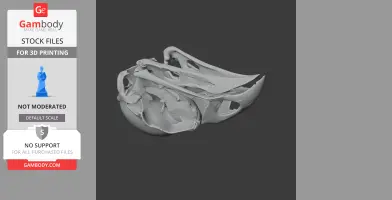 Kokako Skull - Skull Replica STL