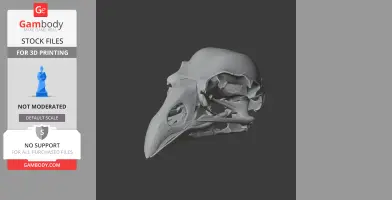 Kokako Skull - Skull Replica STL