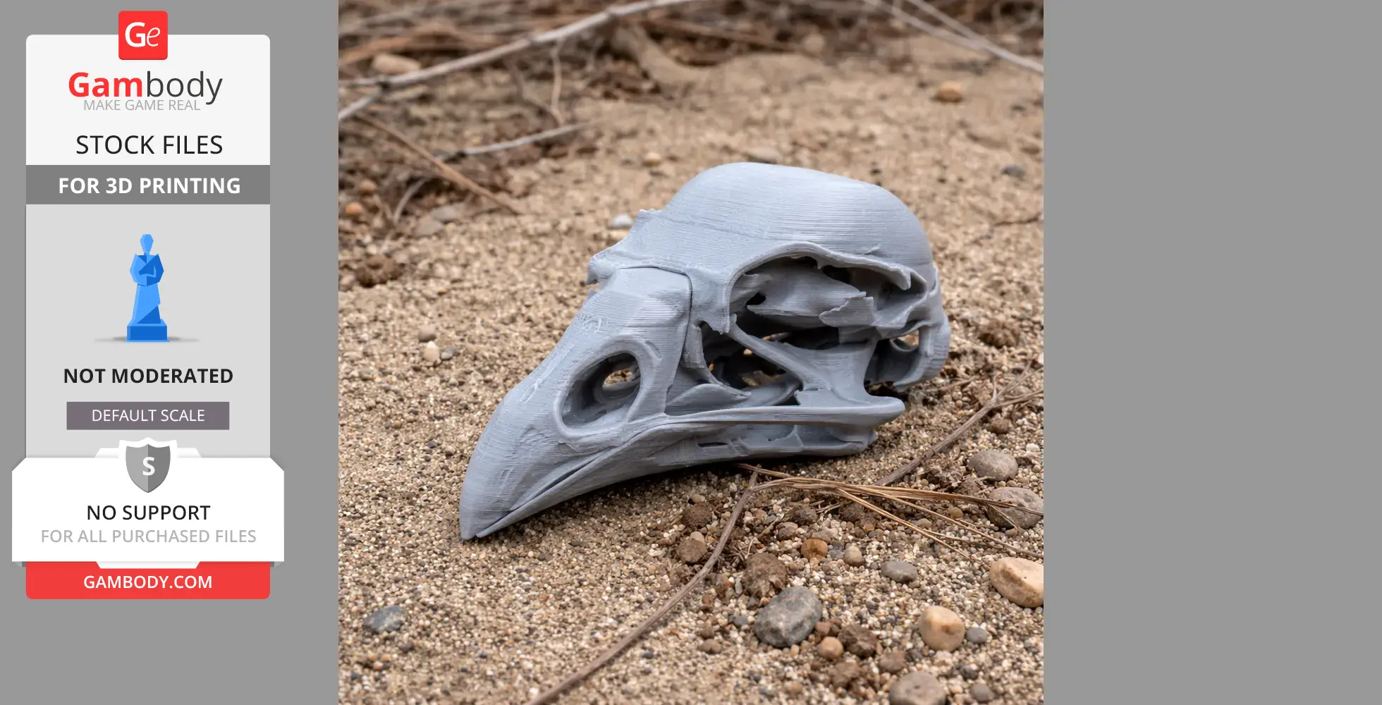 Kokako Skull - Skull Replica STL