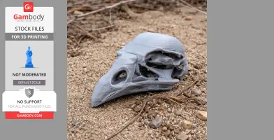 Kokako Skull - Skull Replica STL