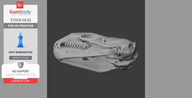 3D model of a detailed leopard seal skull for 3D printing, showing sharp teeth and smooth contours.