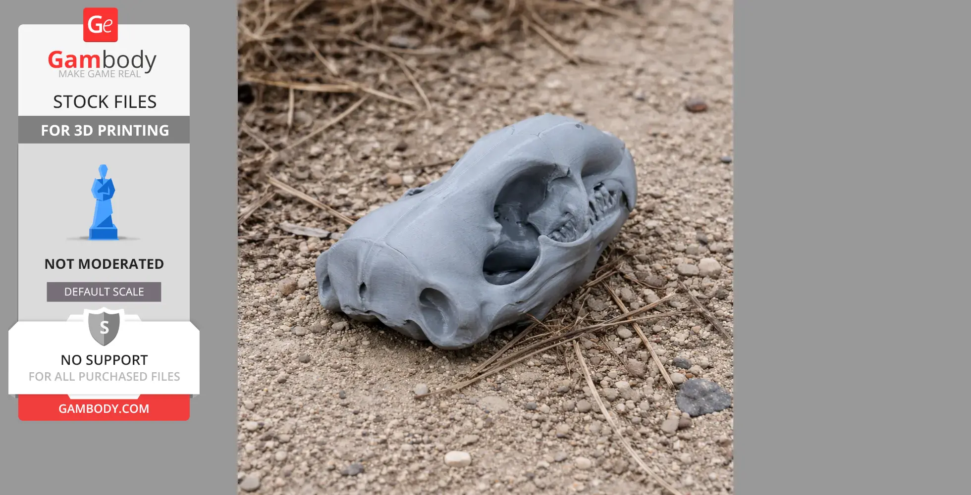 Gray 3D-printed leopard seal skull resting on rocky ground.