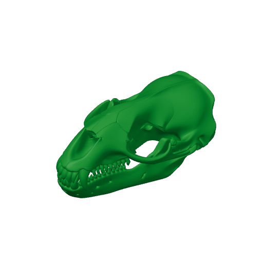 Leopard Seal Skull.3mf