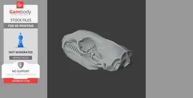 3D model of a detailed leopard seal skull, positioned sideways for printing.