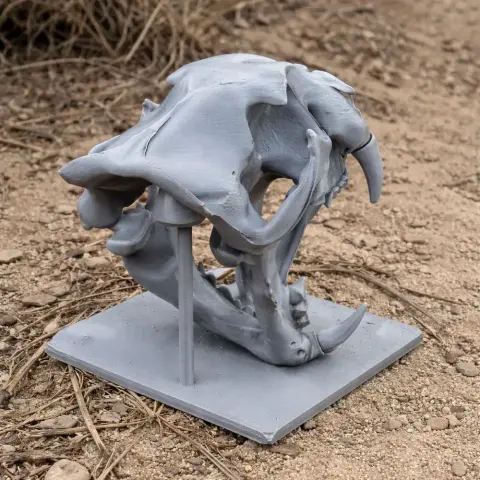 3D printed leopard skull replica on a display stand, set on a sandy ground.