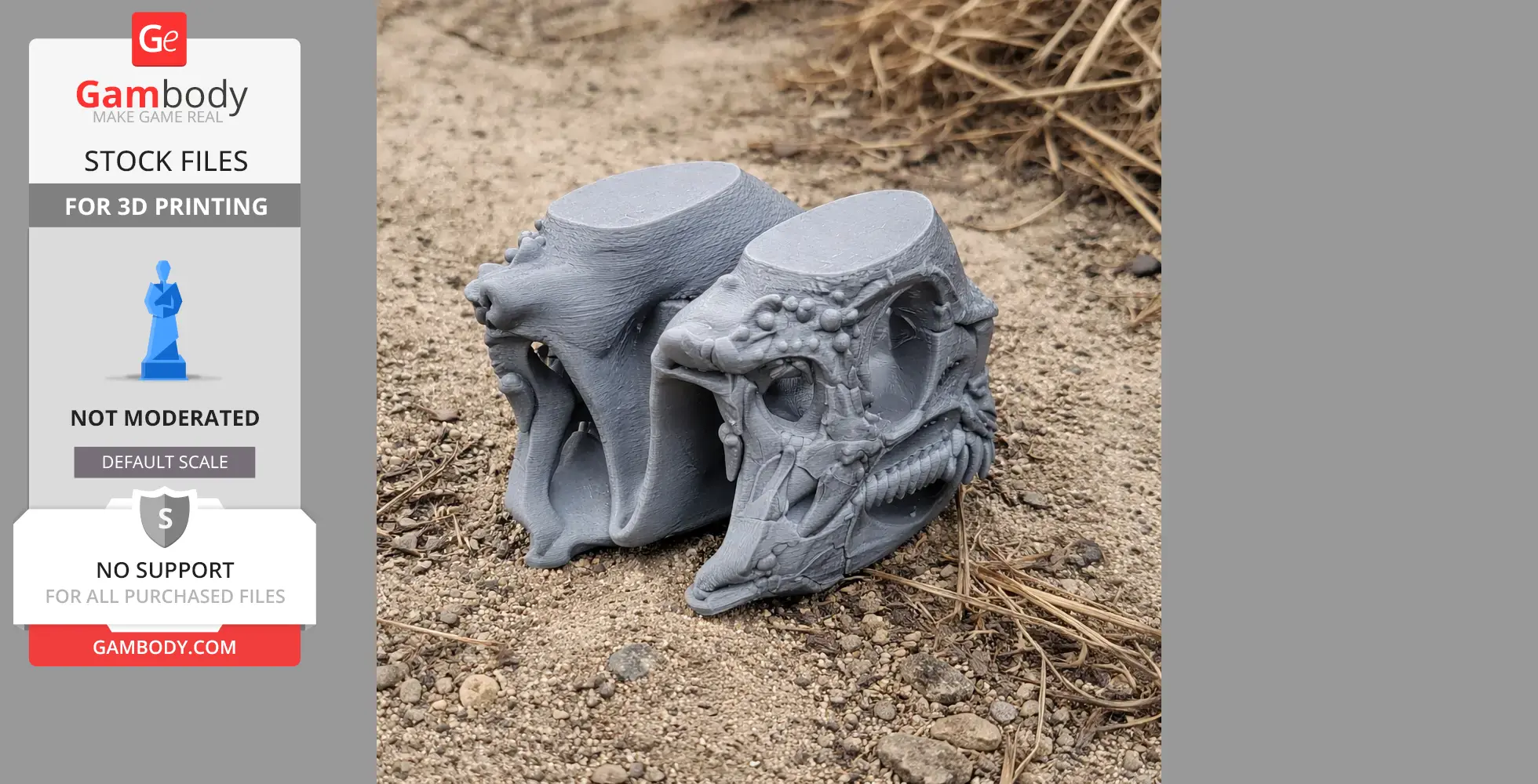 Gray 3D-printed Leptailurus skull replicas on sandy ground, showcasing detailed fossil structures.