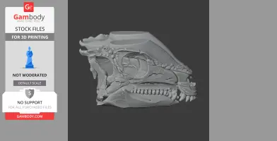 3D model of a Leptailurus fossil skull with detailed teeth and bone structure.