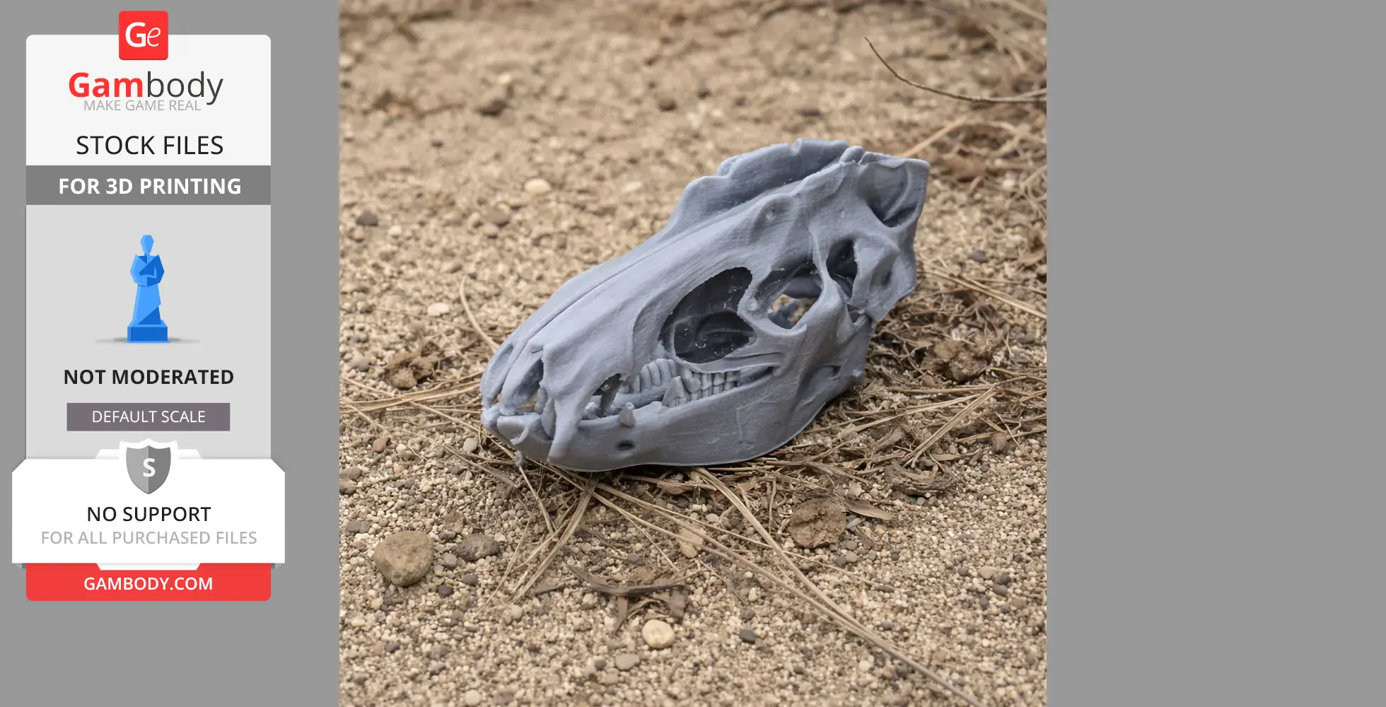 A detailed 3D-printed replica of a Lesser Hedgehog Tenrec skull on a sandy surface.