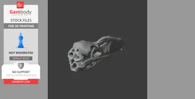 3D model of a Llallawavis scagliai skull, detailed for 3D printing purposes.