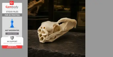 3D printed replica of a Llallawavis scagliai skull displayed on a dark surface.