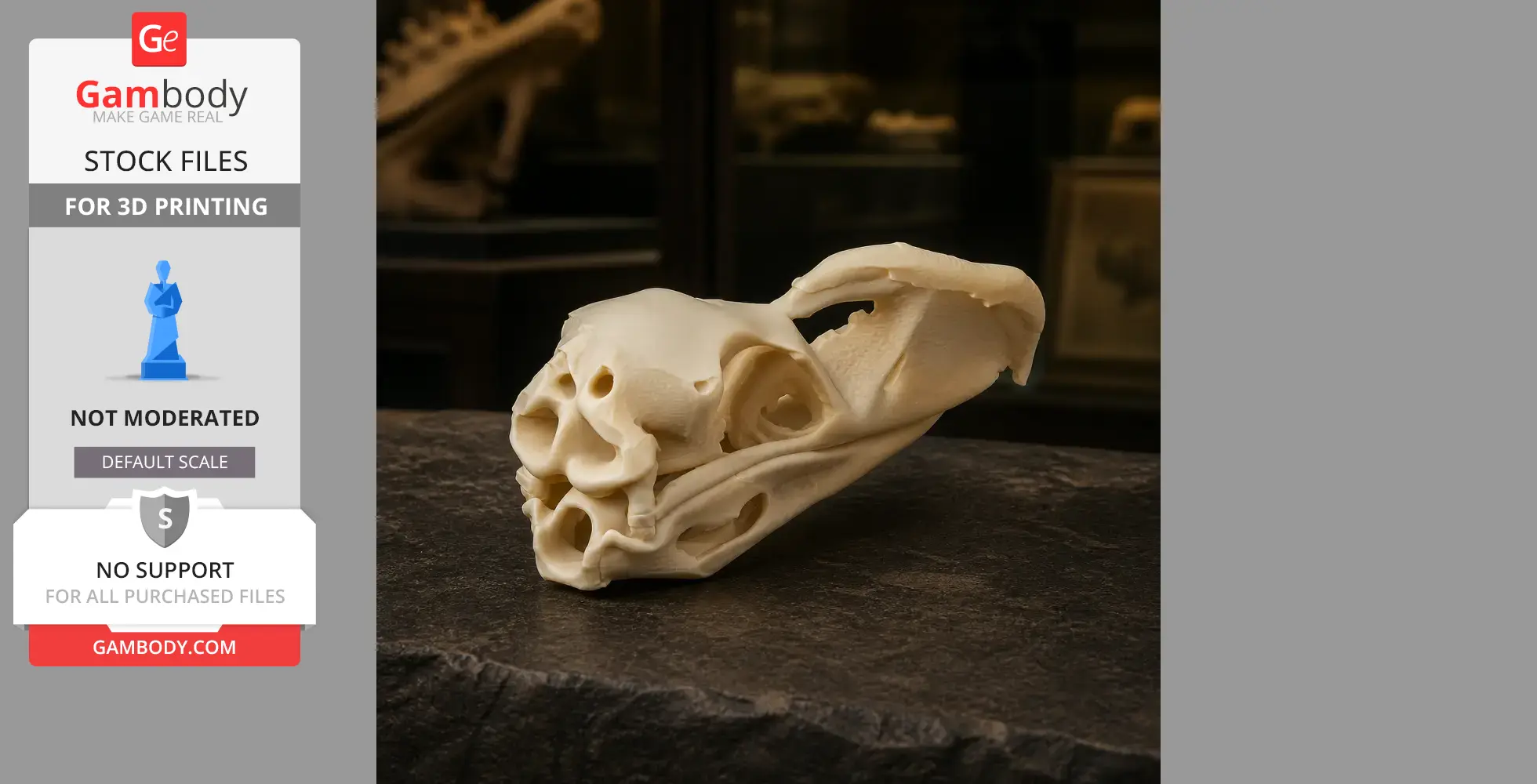3D printed replica of a Llallawavis scagliai skull displayed on a dark surface.