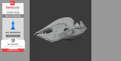 3D model of a detailed llama skull, side view, designed for 3D printing.