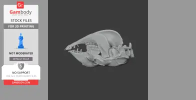 3D model of a llama skull, detailed and textured, for 3D printing.