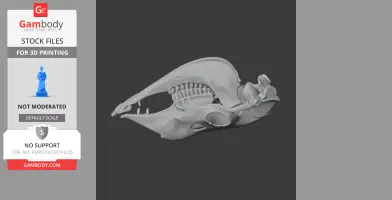 3D-printed llama skull replica model for STL file download; side view showing detailed bone structure.