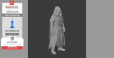 Hooded mage figurine with detailed robes and a dynamic stance, designed for 3D printing.