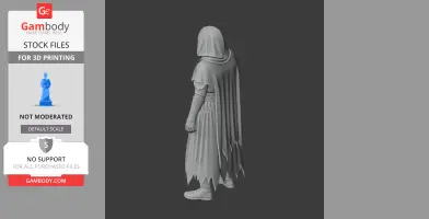 A cloaked mage with tattered robes, standing in a mysterious pose, ready for 3D printing.