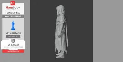 Hooded mage figurine with torn robes, detailed texture, ready for 3D printing. Side view.