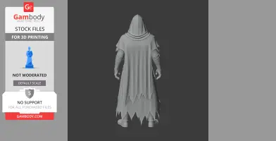 Cloaked mage figurine in tattered robes, viewed from behind for 3D printing.