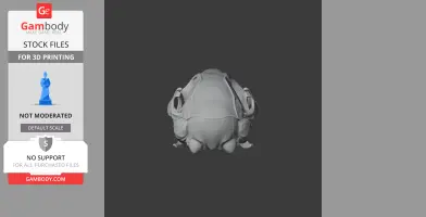 3D model of a long-tailed pygmy possum skull, front view, for 3D printing.
