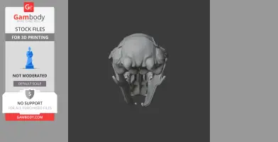 3D model of a Long-tailed Pygmy Possum skull, detailed for 3D printing.