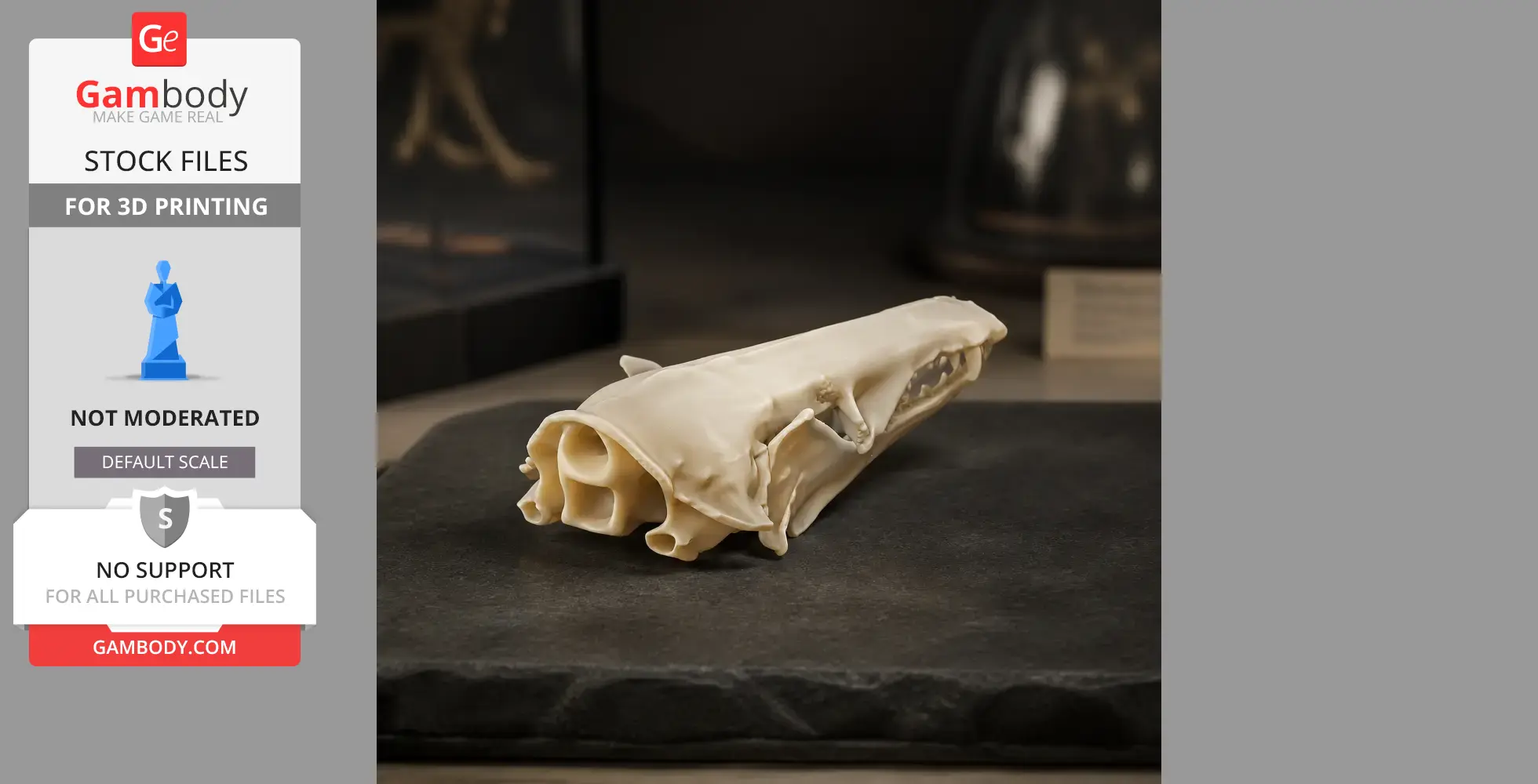 Lowland Streaked Tenrec Skull - Skull Replica STL