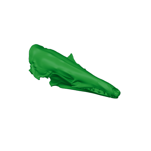 Lowland Streaked Tenrec Skull.3mf