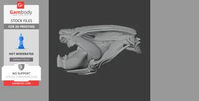Detailed 3D model of an African lungfish skull, suitable for 3D printing.