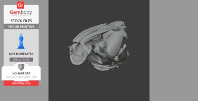 3D model of an African lungfish skull, detailed and sculpted for printing, shown in grayscale.