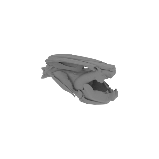 Lungfish (African) Skull.stl