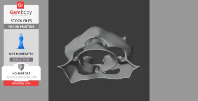 Lungfish (Australian) Skull - Skull Replica STL
