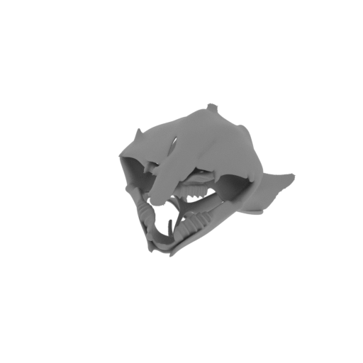 Lungfish (Australian) Skull.stl