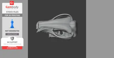 3D model of a lynx skull, side view, showcasing detailed bone structure for 3D printing.
