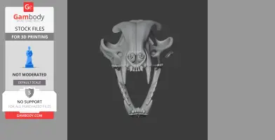 Detailed lynx skull model for 3D printing, showcasing sharp fangs and intricate bone structure.