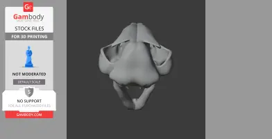 3D model of a lynx skull, viewed from the front.