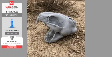 3D-printed lynx skull replica on sandy ground, showcasing detailed bone structure and features.