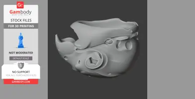 3D model of a Major Mitchell's Cockatoo skull, detailed and ready for 3D printing.