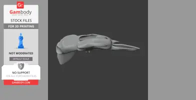 3D model of a streamlined Mako shark skull, side view, for 3D printing.