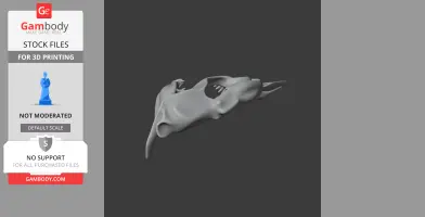 3D model of a mako shark skull, showing detailed teeth and jaw structure on a dark background.