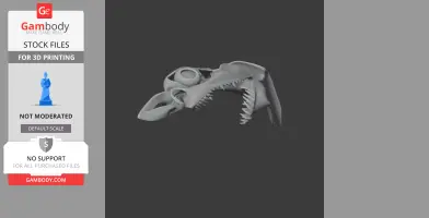 3D model of a Mako shark skull replica, showing detailed teeth and bone structure.