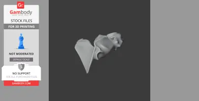 3D model of a Mako shark skull, showing detailed bone structure, suitable for 3D printing.