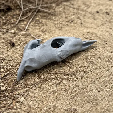 3D printed mako shark skull replica lying on sandy ground.