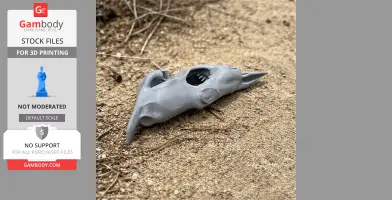 A 3D-printed Mako shark skull replica lies on sandy ground.