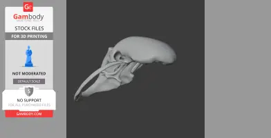 3D model of a mammoth skull, side view, with tusks, for 3D printing.