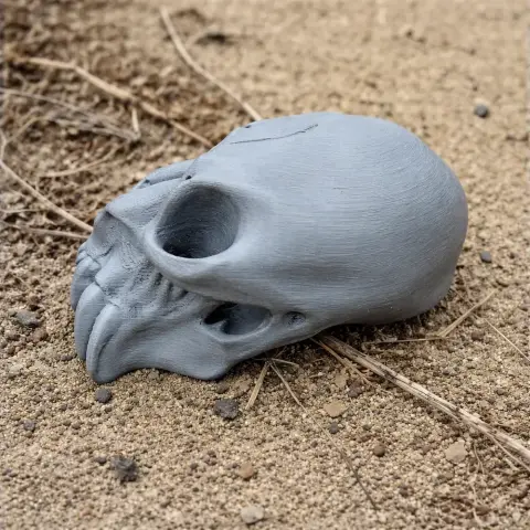 A detailed 3D-printed mandrill skull replica resting on sandy terrain.