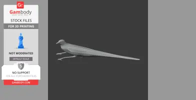 3D model of a long-tailed bird with sleek wings, side view, for 3D printing.