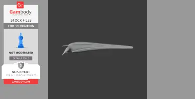 A sleek, streamlined 3D model of a prehistoric Admiralty cicadabird for 3D printing.