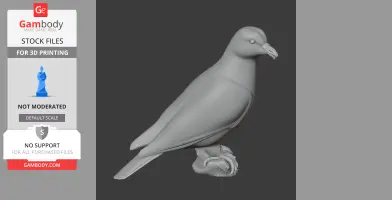 3D model of an African green pigeon standing on a base, designed for 3D printing.