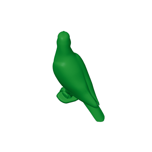 African green pigeon.3mf