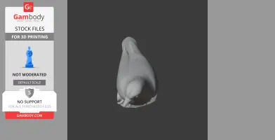 3D model of an African green pigeon, posed standing with detailed features, for 3D printing.