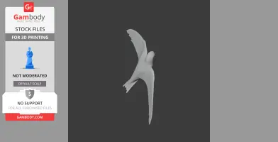 A 3D model of an Alpine Swift in flight, displayed in STL format for 3D printing.